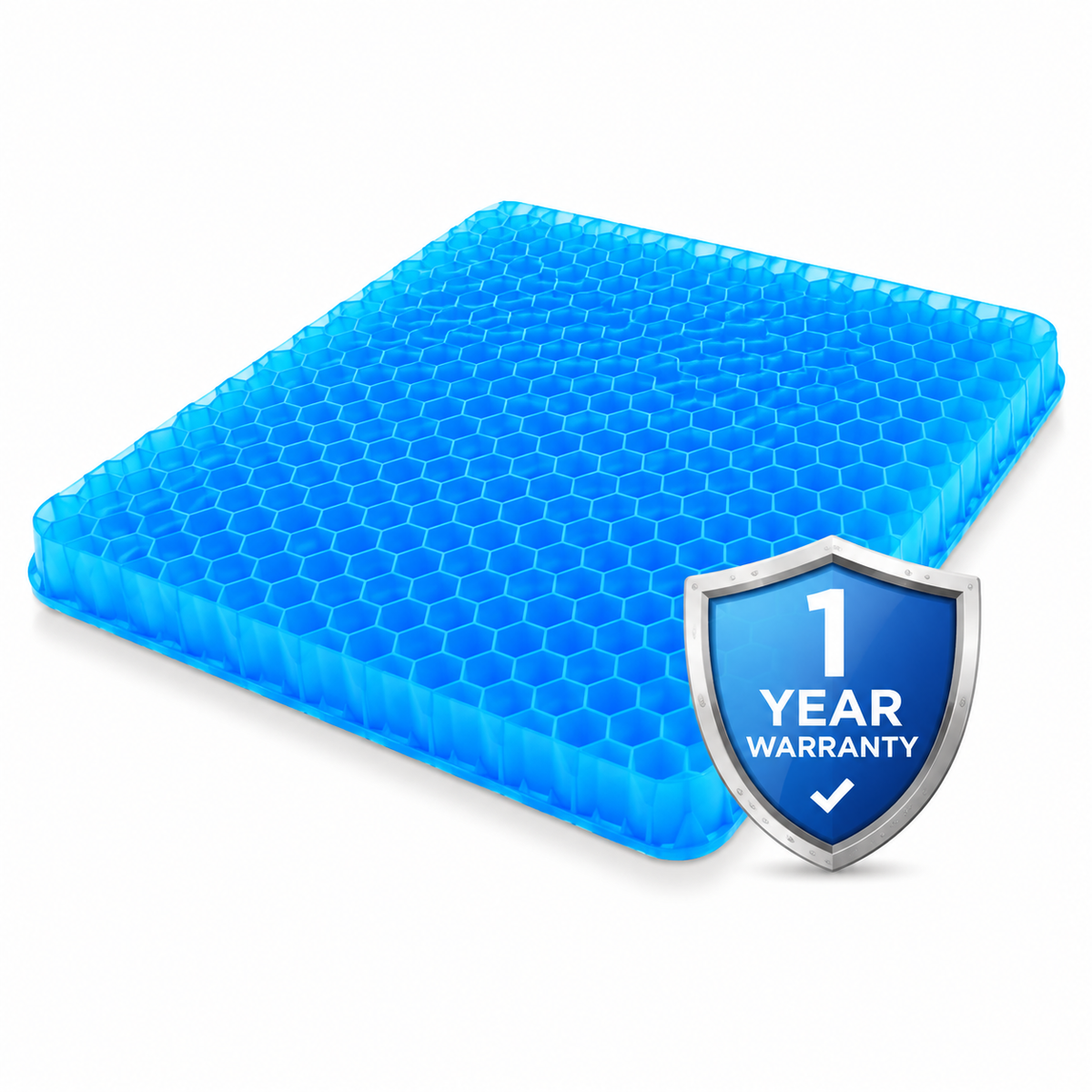 1 Year Warranty